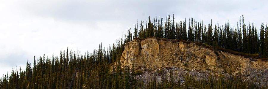 Northwest Territories PNP