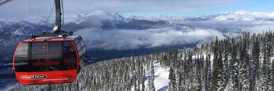 whistler