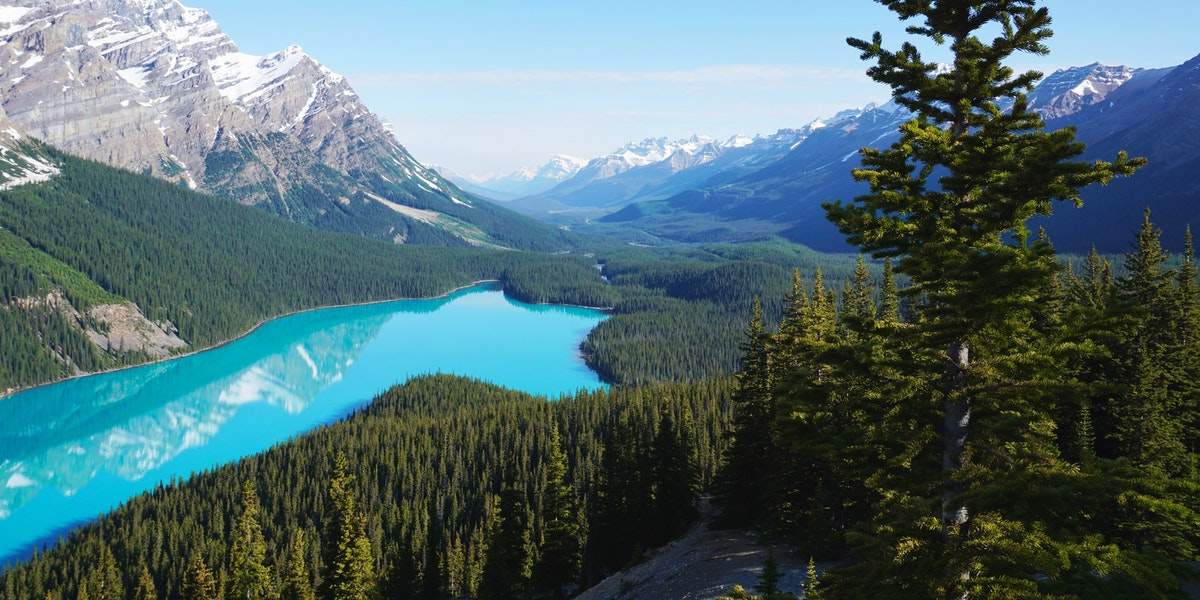 immigrate to canada from lebanon